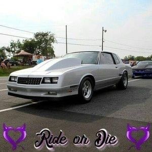 Meet your Posher, Johnson